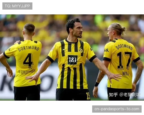 多特争冠稳定性不足问题显现，对赛季走势造成影响